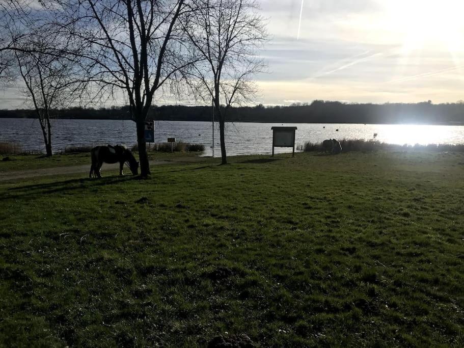 Gite A La Campagne Au Bord D'Un Lac 8 Personnes Saint-Quentin-sur-Charente Экстерьер фото